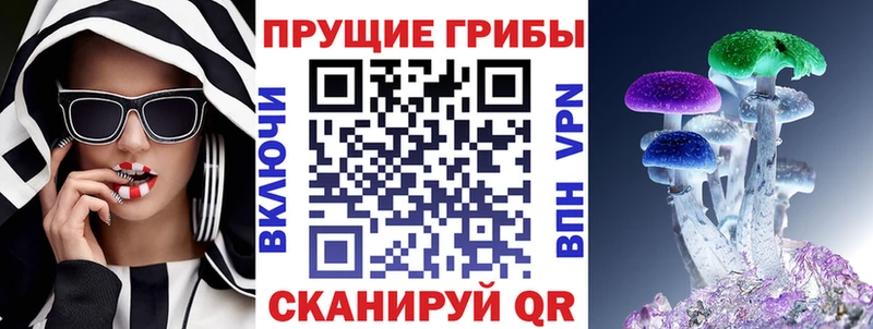 Галлюциногенные грибы Cubensis Звенигово