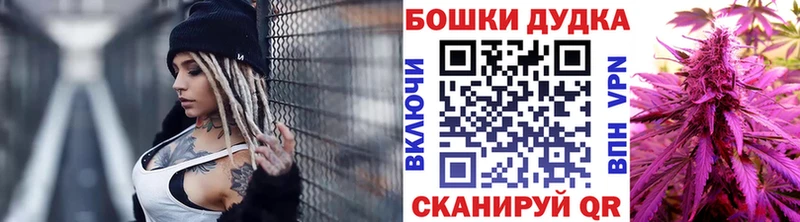 Бошки Шишки планчик  Купить закладки  Звенигово 